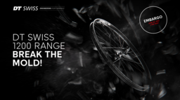 DTSwiss_1200_Range_MTB_Wheels_Mediakit_EN_240610.pdf