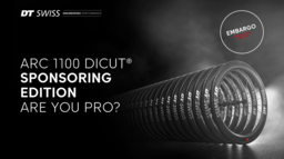 DTSwiss_ARC_1100_DICUT_50_WTS_Sponsoring_Edition_Mediakit_EN_250321.pdf