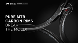 DTSwiss_Pure_Carbon_MTB_Rims_Mediakit_EN_250324.pdf
