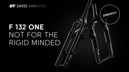 DTSwiss_F_132_Gravel_Fork_Mediakit_EN_250424.pdf