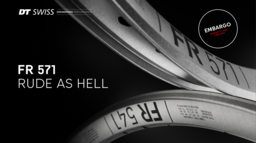DTSwiss_FR_571_Component_Rims_Mediakit_EN_250812.pdf