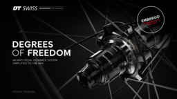 DTSwiss_Ratchet_DEG_DF_Mediakit_EN_250904.pdf