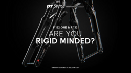 DTSwiss-Road-Gravel-Fork-F-132-ONE-F-132-Are-You-Rigid-Minded-Mediakit-EN-260930.pdf