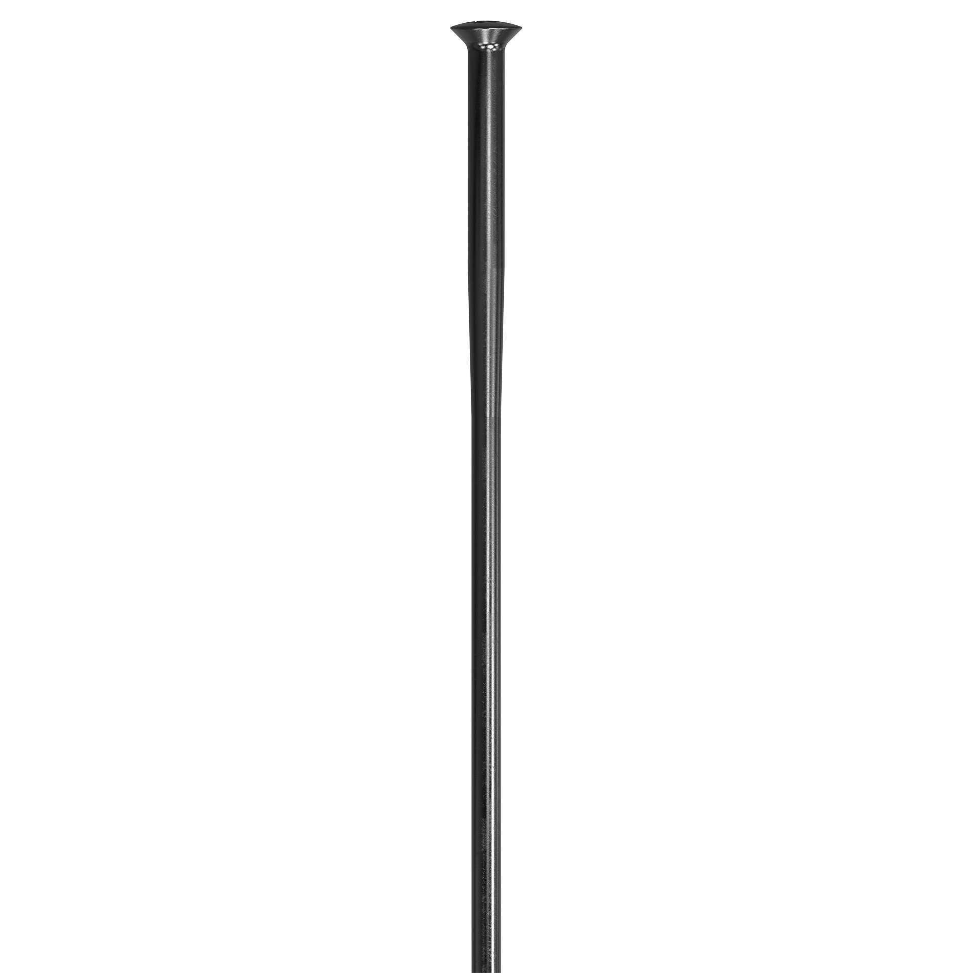 楽天市場】dt swiss 293 シルバー コンペティションの通販