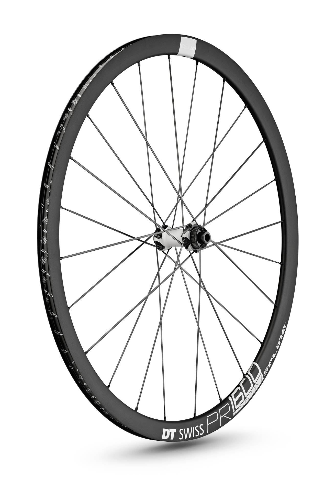 見事な創造力 db SPLINE 1600 PR 32 Swiss DT | mm 12/100 パーツ