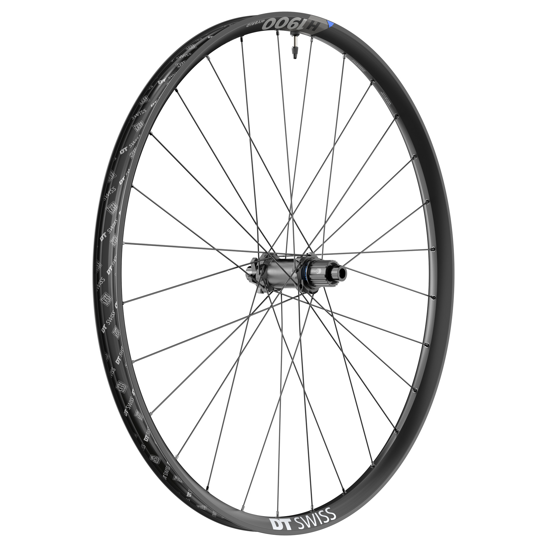安価 E-Bike Strong - SPLINE 1900 H Wheels Swiss DT | パーツ