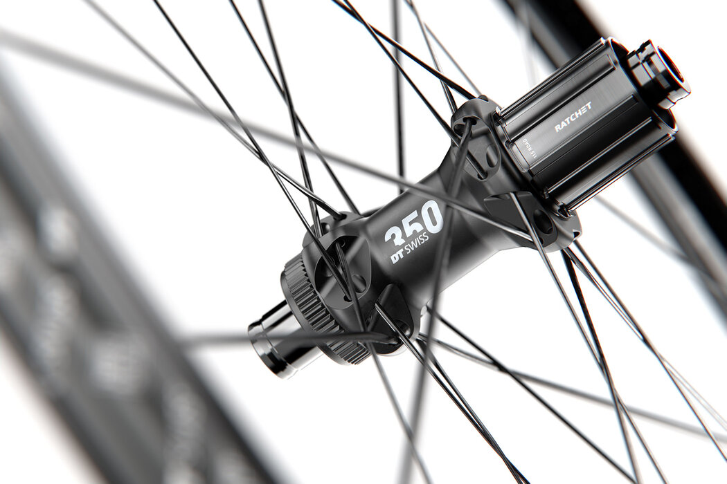 Raio Dt Swiss Champion 2.0 X 298mm J-bend Prata - Un