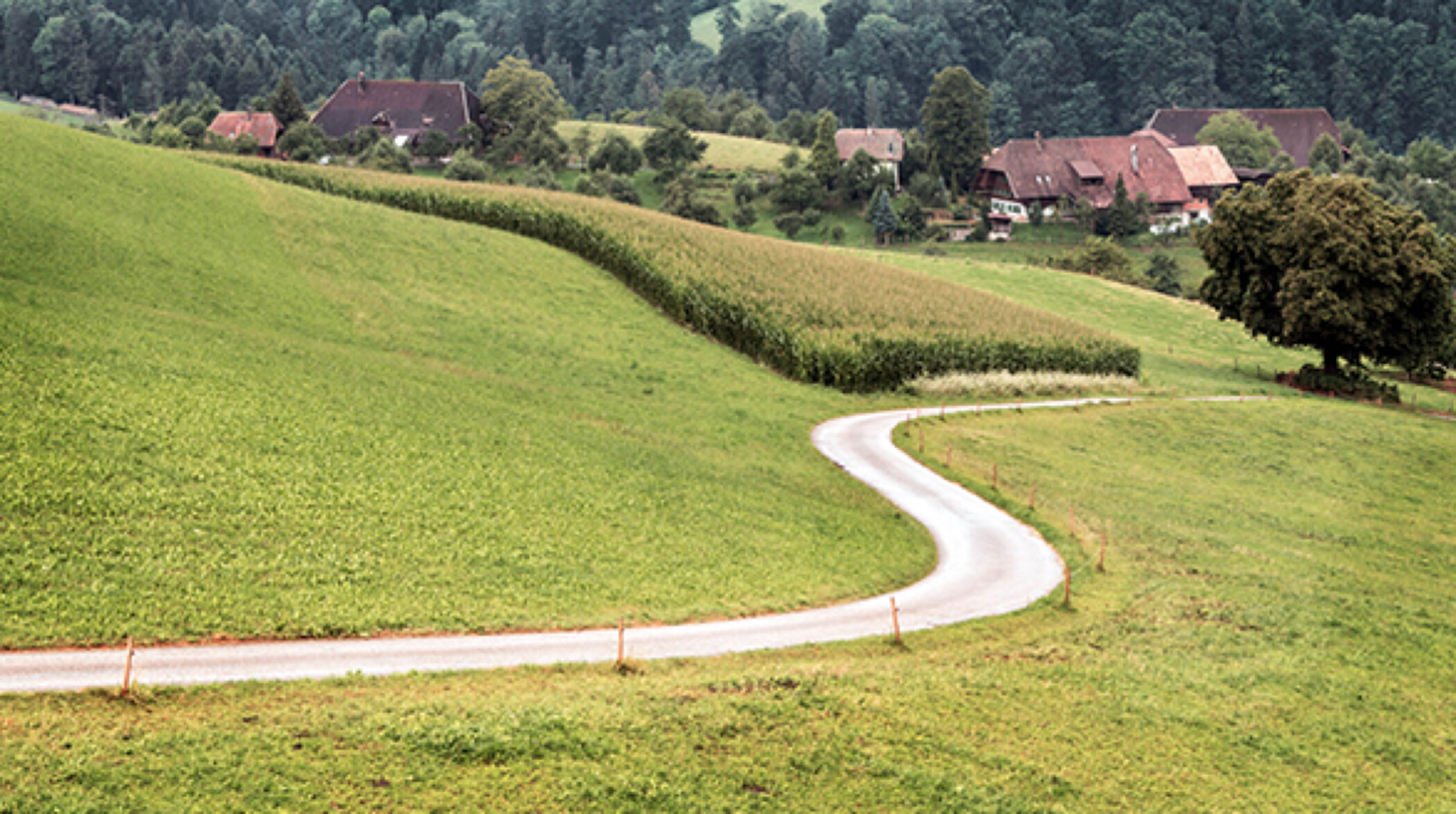Roues | DT Swiss